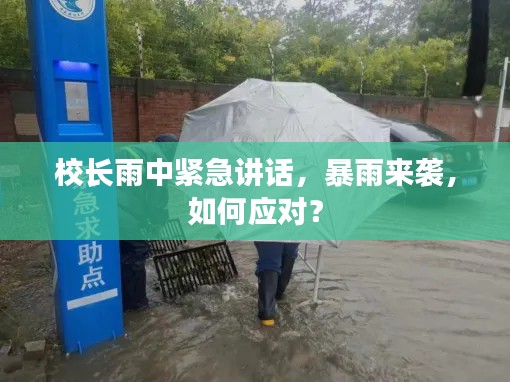 校長雨中緊急講話，暴雨來襲，如何應對？