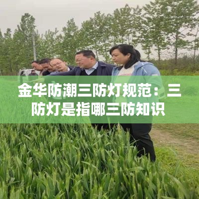 金華防潮三防燈規范：三防燈是指哪三防知識 
