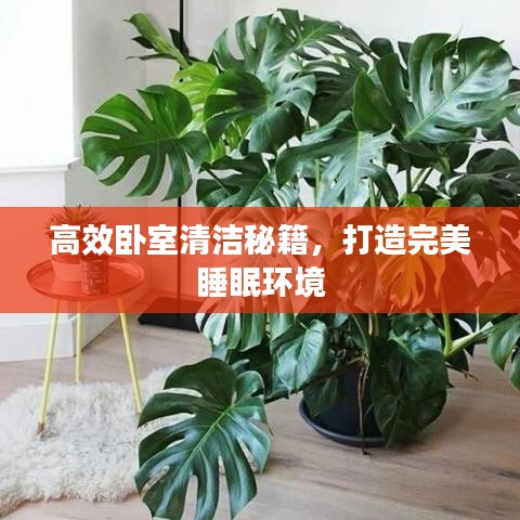 高效臥室清潔秘籍，打造完美睡眠環境