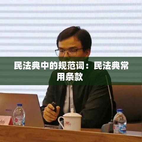 民法典中的規范詞：民法典常用條款 