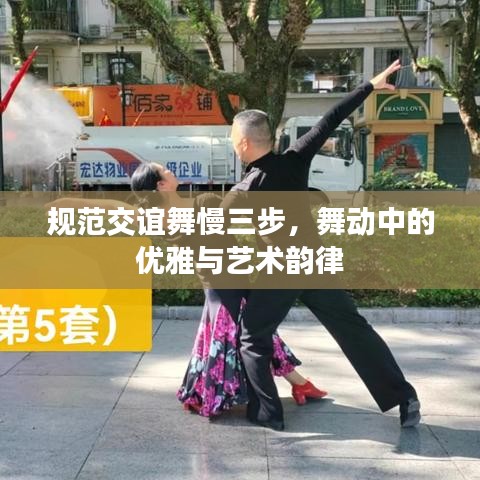 規(guī)范交誼舞慢三步，舞動中的優(yōu)雅與藝術(shù)韻律