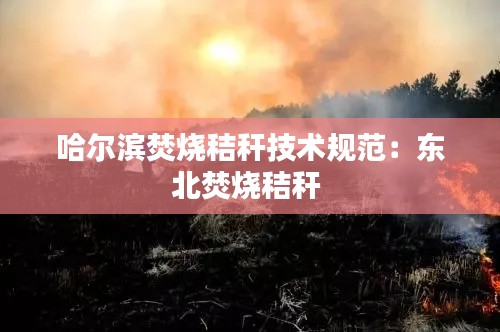 狐假虎威 第3頁