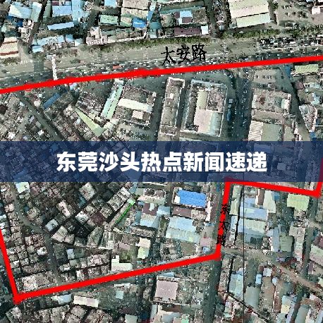 東莞沙頭熱點新聞速遞