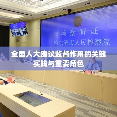 全國人大建議監(jiān)督作用的關(guān)鍵實(shí)踐與重要角色
