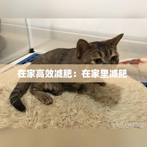 普度眾生 第2頁