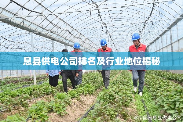 息縣供電公司排名及行業(yè)地位揭秘