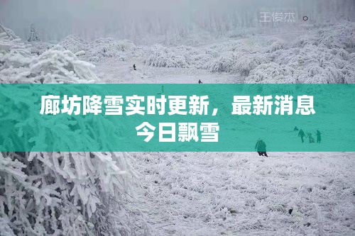 廊坊降雪實時更新，最新消息今日飄雪