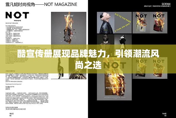 貴在知心 第2頁(yè)