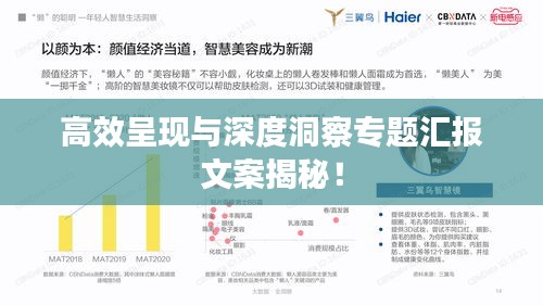高效呈現(xiàn)與深度洞察專題匯報文案揭秘！