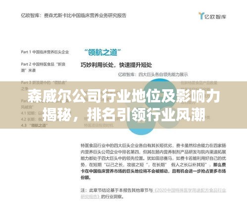 森威爾公司行業(yè)地位及影響力揭秘，排名引領(lǐng)行業(yè)風(fēng)潮