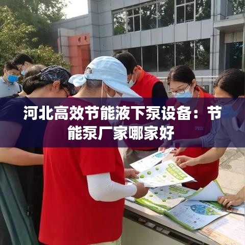 河北高效節(jié)能液下泵設(shè)備：節(jié)能泵廠家哪家好 