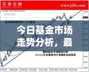 今日基金市場走勢分析，最新報價與投資建議全解析