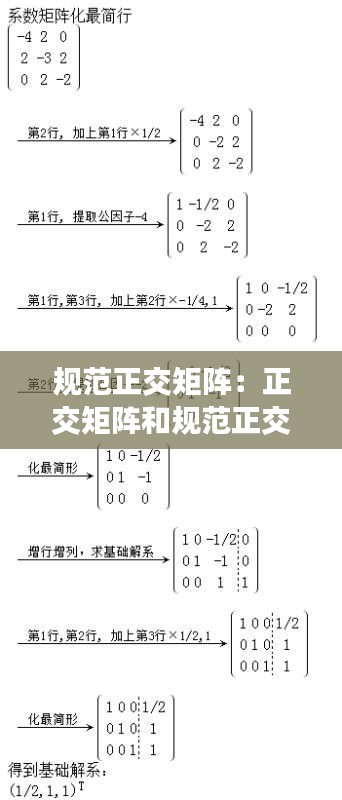 輕徙鳥舉 第2頁