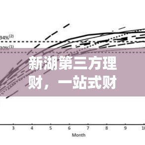新湖第三方理財，一站式財富管理，打造您的理想投資新選擇！