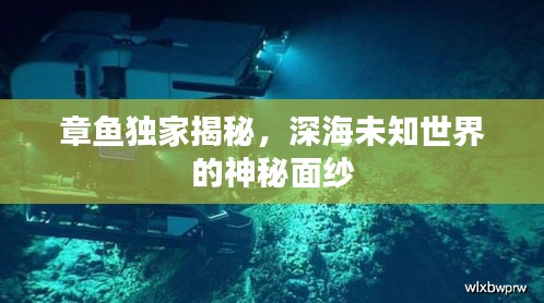 章魚獨(dú)家揭秘，深海未知世界的神秘面紗