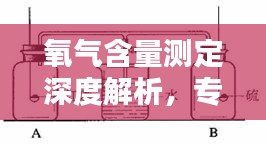 氧氣含量測定深度解析，專業方法與實用技巧