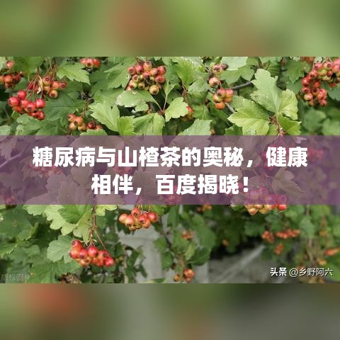 焚膏繼晷 第2頁
