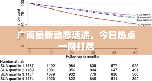 廣南最新動態(tài)速遞，今日熱點一網(wǎng)打盡