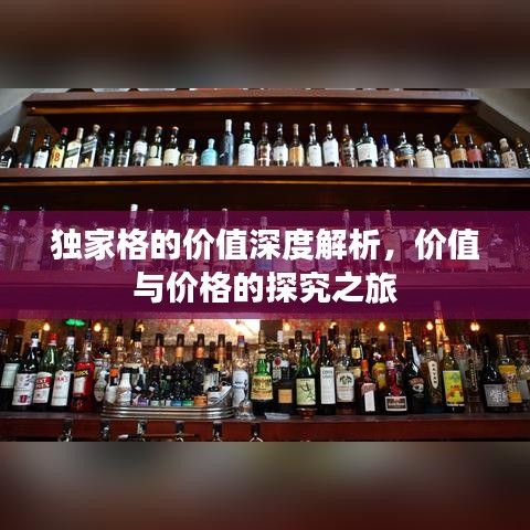 獨家格的價值深度解析，價值與價格的探究之旅