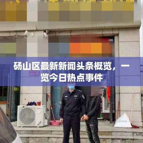 碭山區最新新聞頭條概覽，一覽今日熱點事件