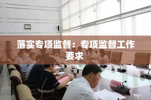 落實(shí)專項(xiàng)監(jiān)督：專項(xiàng)監(jiān)督工作要求 