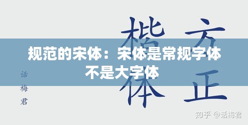 規(guī)范的宋體：宋體是常規(guī)字體不是大字體 
