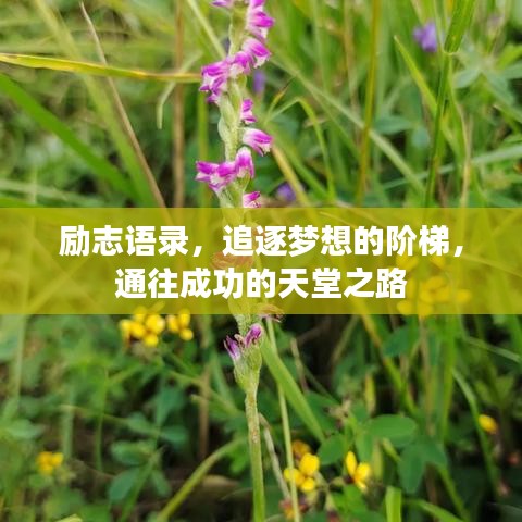 勵志語錄，追逐夢想的階梯，通往成功的天堂之路