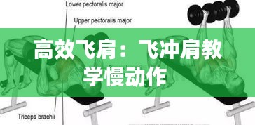 高效飛肩：飛沖肩教學慢動作 