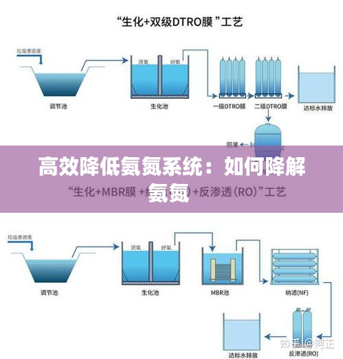 高效降低氨氮系統(tǒng)：如何降解氨氮 