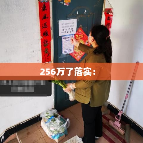 256萬了落實： 