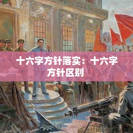 十六字方針落實(shí)：十六字方針區(qū)別 