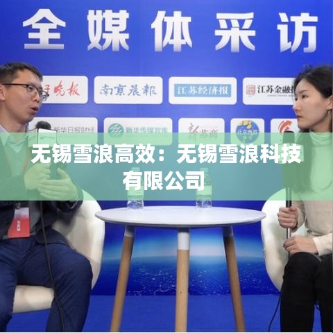 無(wú)錫雪浪高效：無(wú)錫雪浪科技有限公司 