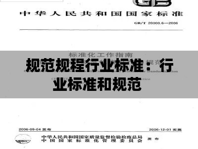 規(guī)范規(guī)程行業(yè)標(biāo)準(zhǔn)：行業(yè)標(biāo)準(zhǔn)和規(guī)范 