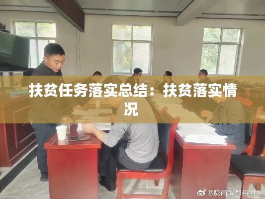 扶貧任務落實總結：扶貧落實情況 
