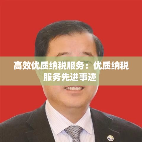 高效優質納稅服務：優質納稅服務先進事跡 