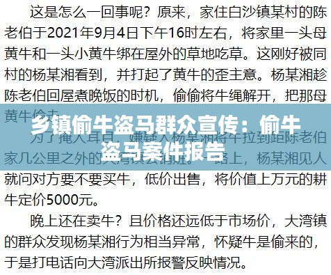 鄉(xiāng)鎮(zhèn)偷牛盜馬群眾宣傳：偷牛盜馬案件報(bào)告 