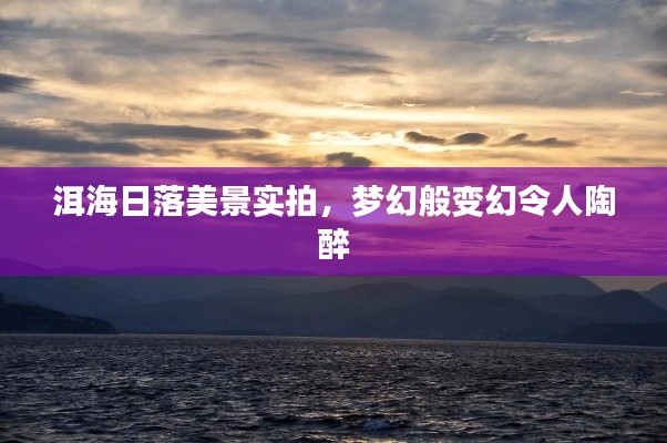 倦鳥知還 第2頁