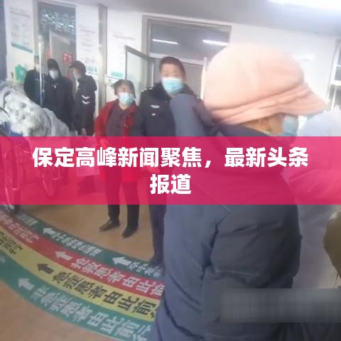 保定高峰新聞聚焦，最新頭條報道