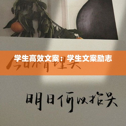 學(xué)生高效文案：學(xué)生文案勵志 
