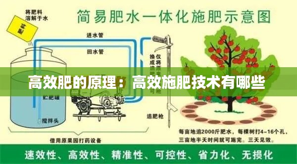 高效肥的原理：高效施肥技術有哪些 