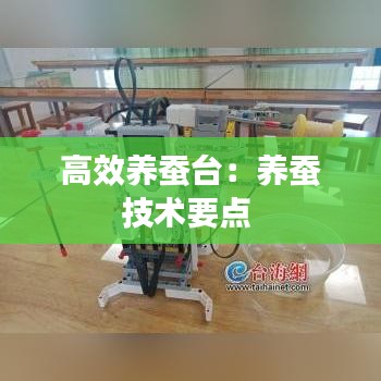 高效養(yǎng)蠶臺(tái)：養(yǎng)蠶技術(shù)要點(diǎn) 
