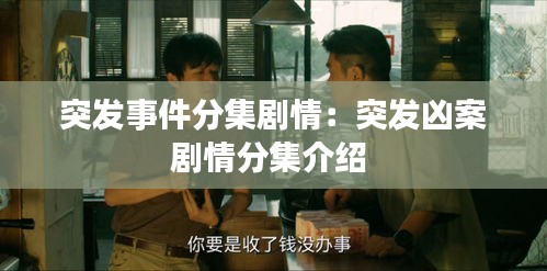 突發(fā)事件分集劇情：突發(fā)兇案劇情分集介紹 