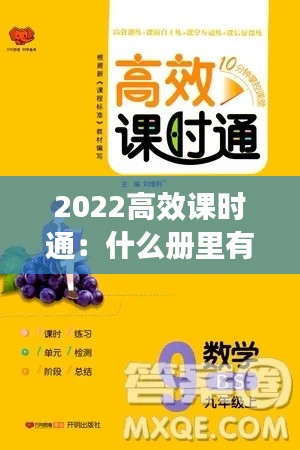 2022高效課時(shí)通：什么冊(cè)里有課時(shí)考 