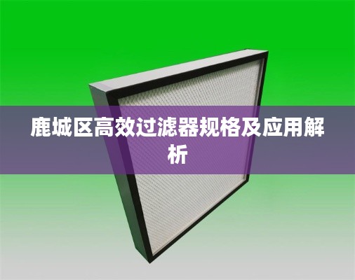 鹿城區(qū)高效過濾器規(guī)格及應(yīng)用解析