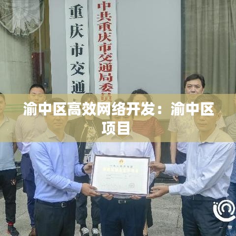 渝中區(qū)高效網(wǎng)絡開發(fā)：渝中區(qū)項目 