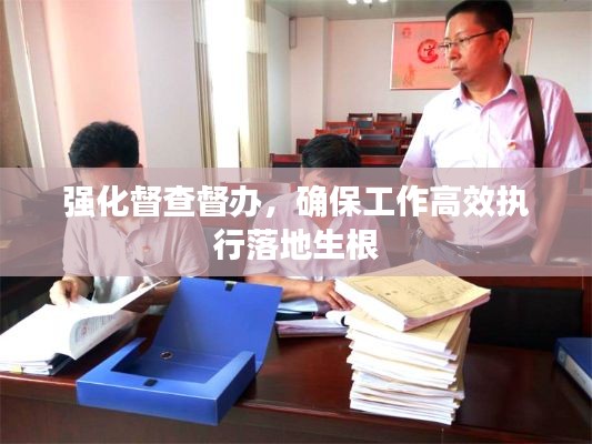 強(qiáng)化督查督辦，確保工作高效執(zhí)行落地生根
