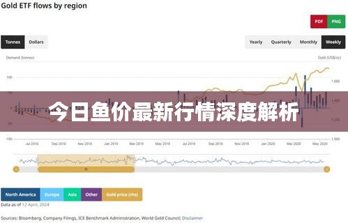 今日魚價最新行情深度解析