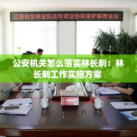 公安機(jī)關(guān)怎么落實(shí)林長(zhǎng)制：林長(zhǎng)制工作實(shí)施方案 