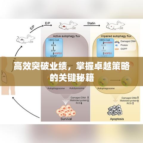 高效突破業績，掌握卓越策略的關鍵秘籍