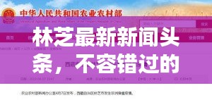 林芝最新新聞頭條，不容錯過的當?shù)刭Y訊速遞